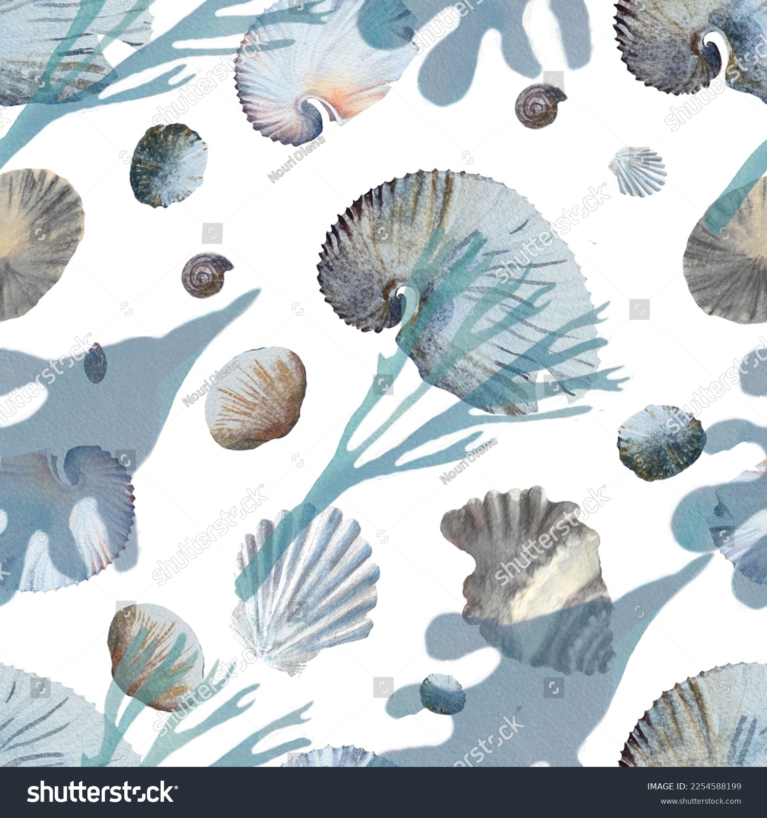 Harmonious pattern of shells in watercolor. It can be used for ...