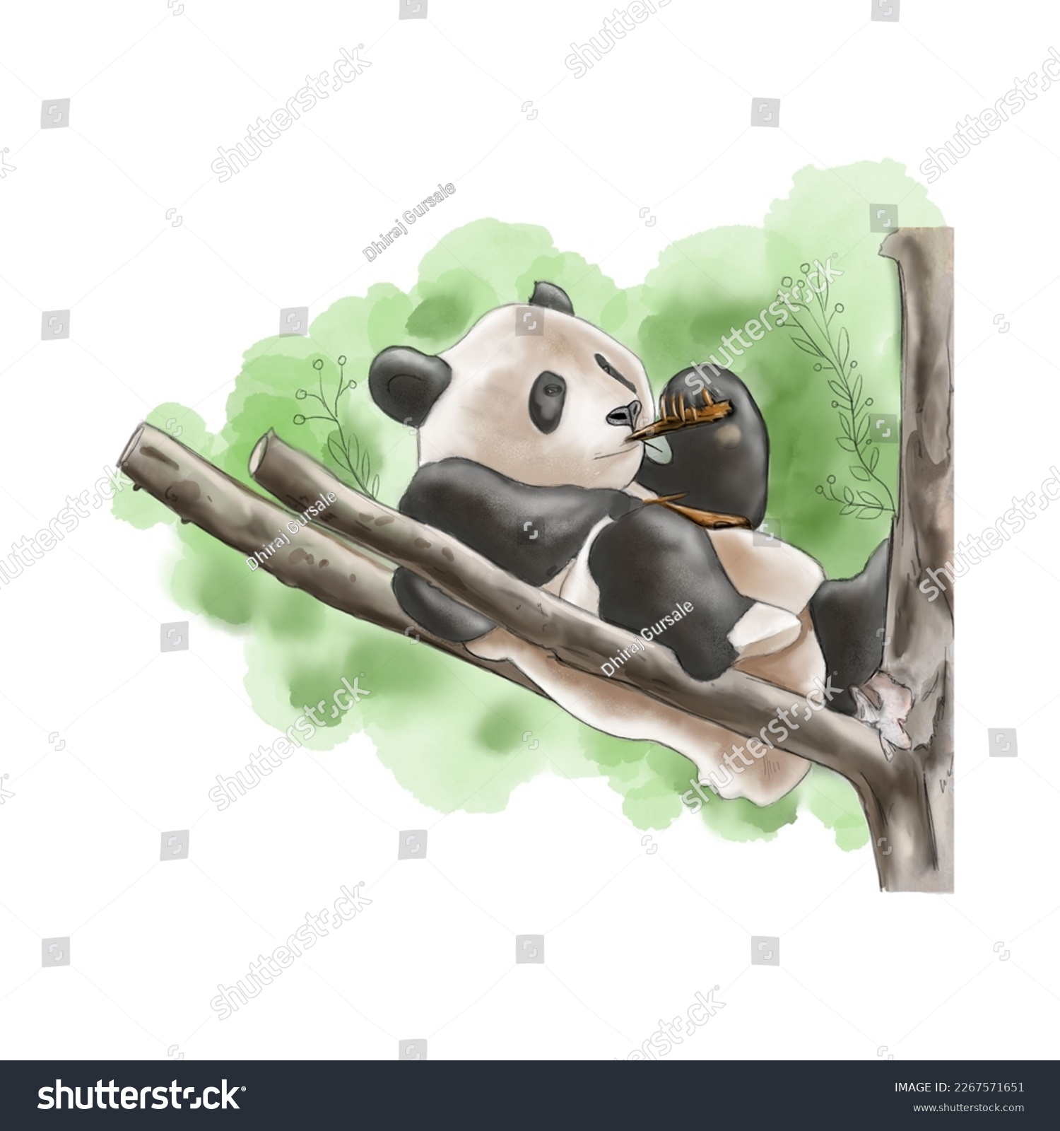 预览