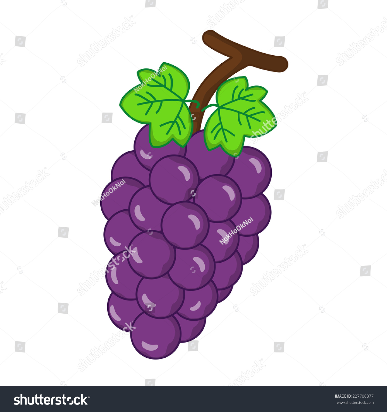 fruit grape isolated illustration on white background