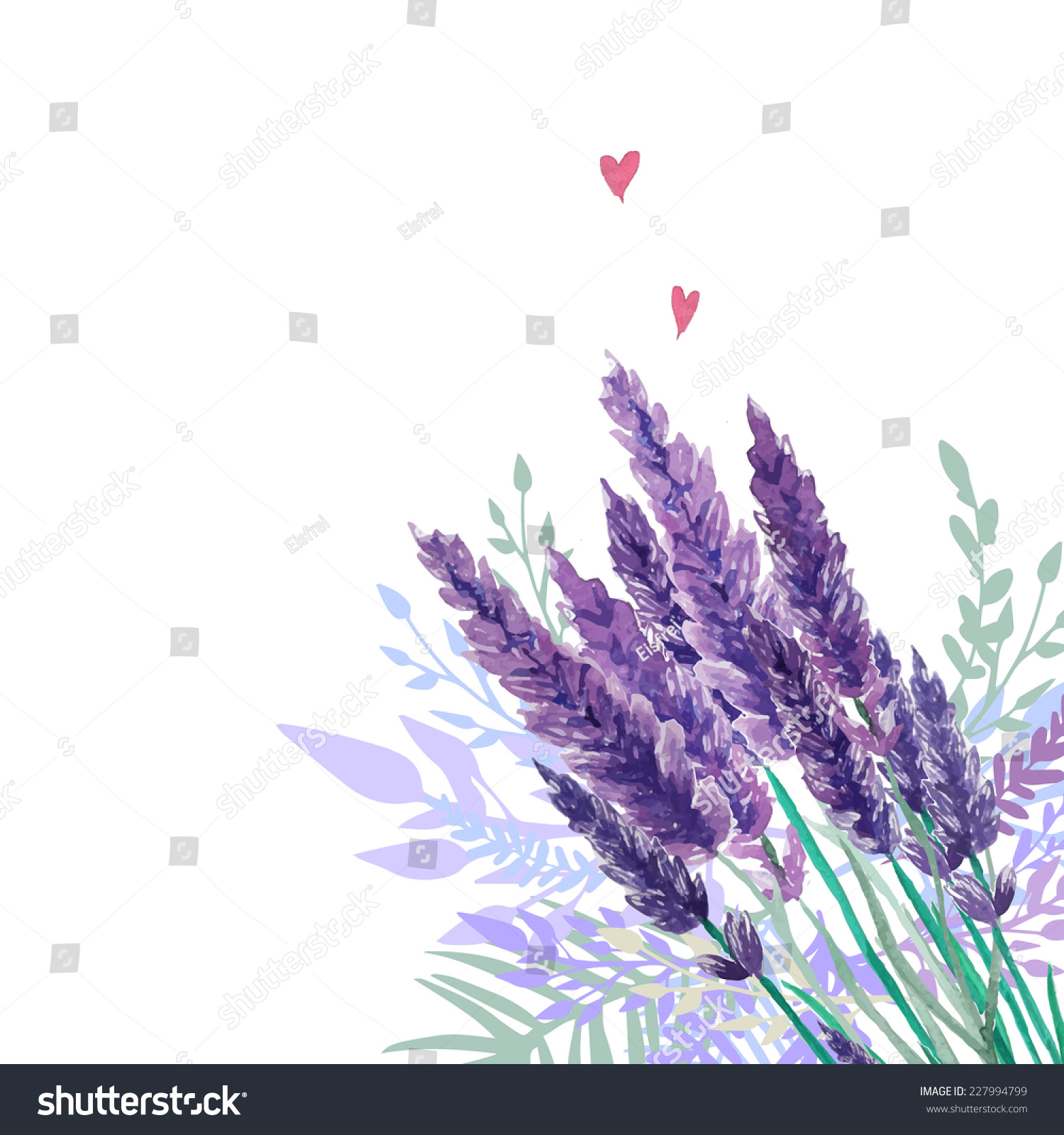 Watercolor lavender bouquet background. Frame with hand painted vintage plants  floral decor and hearts. Vector illustration.