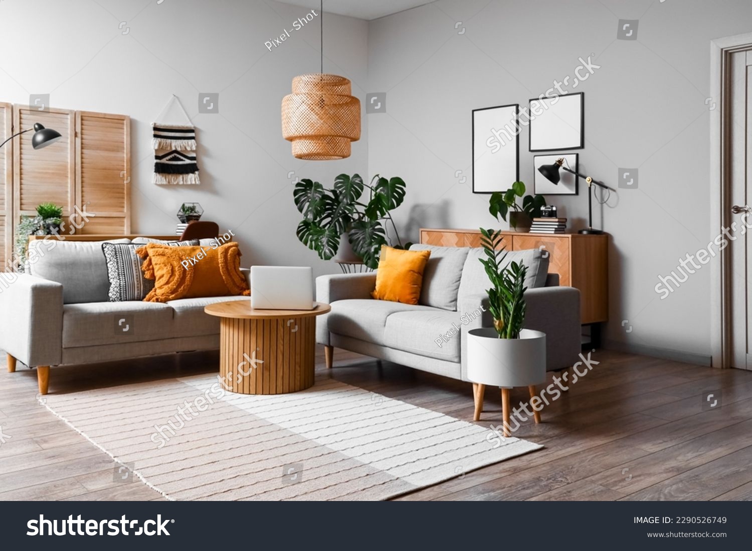 Interior of living room with green houseplants and sofas 