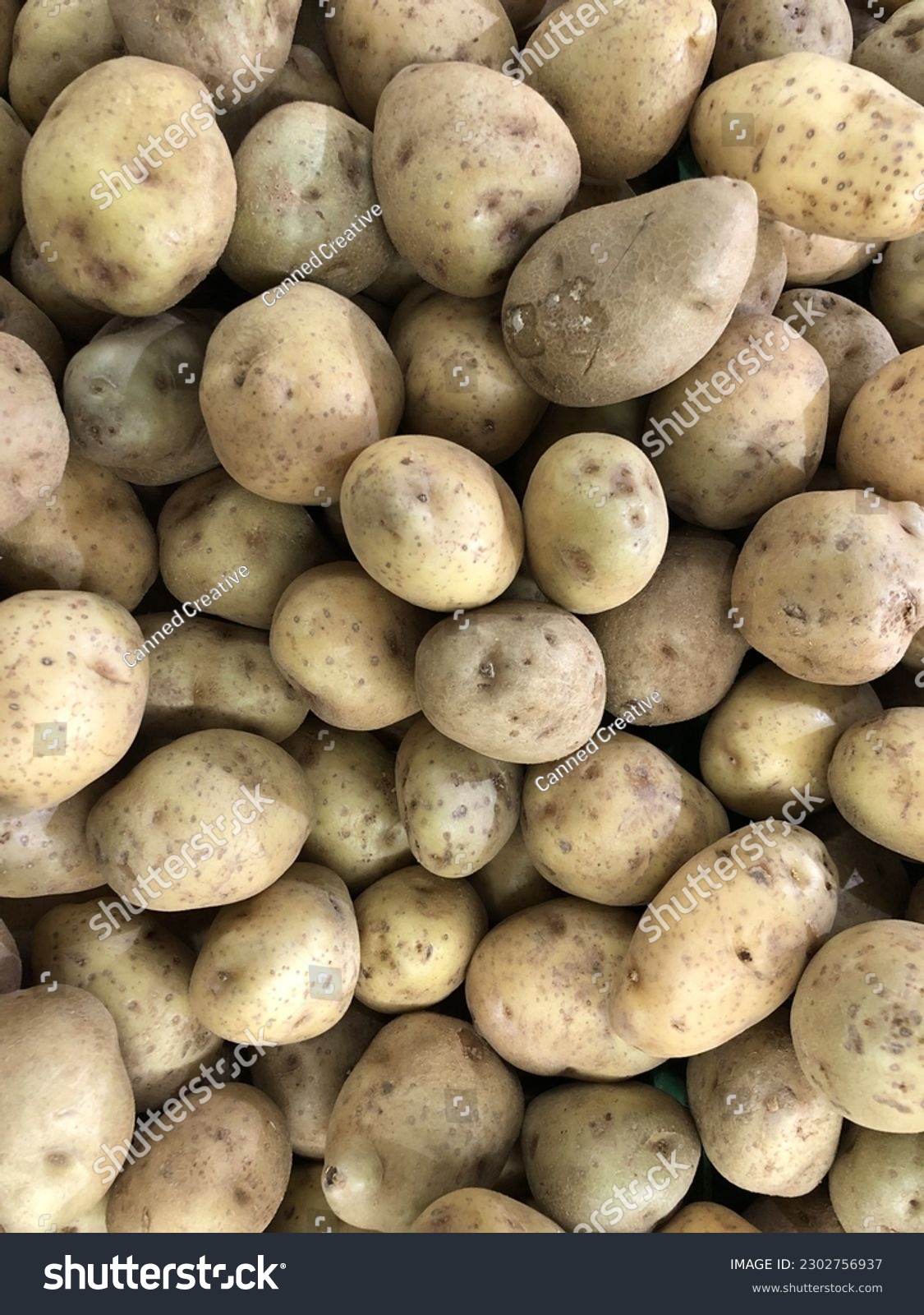 potatoes fresh potato in the market seamless potato texture
