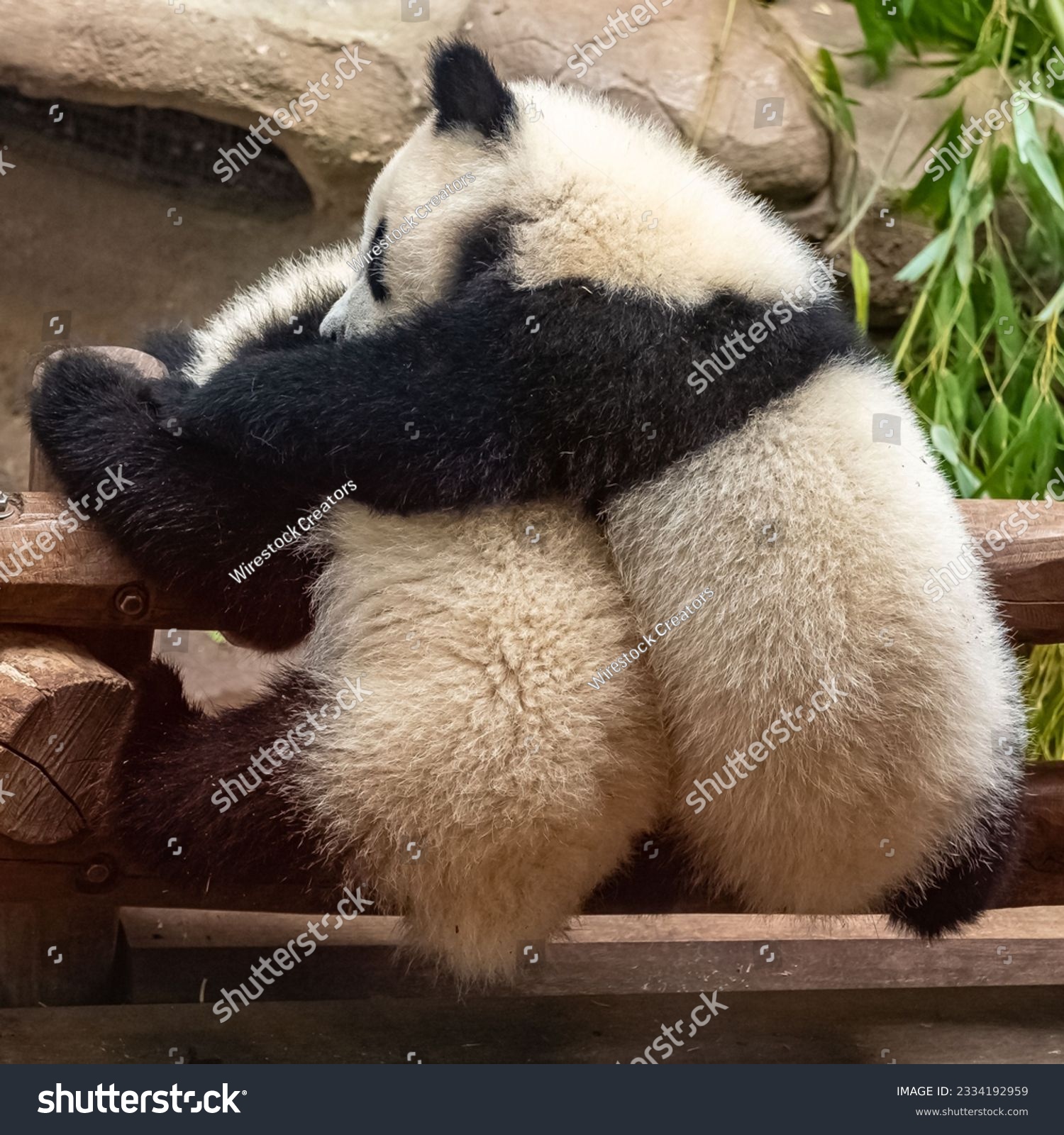 pandas，pandas numpy