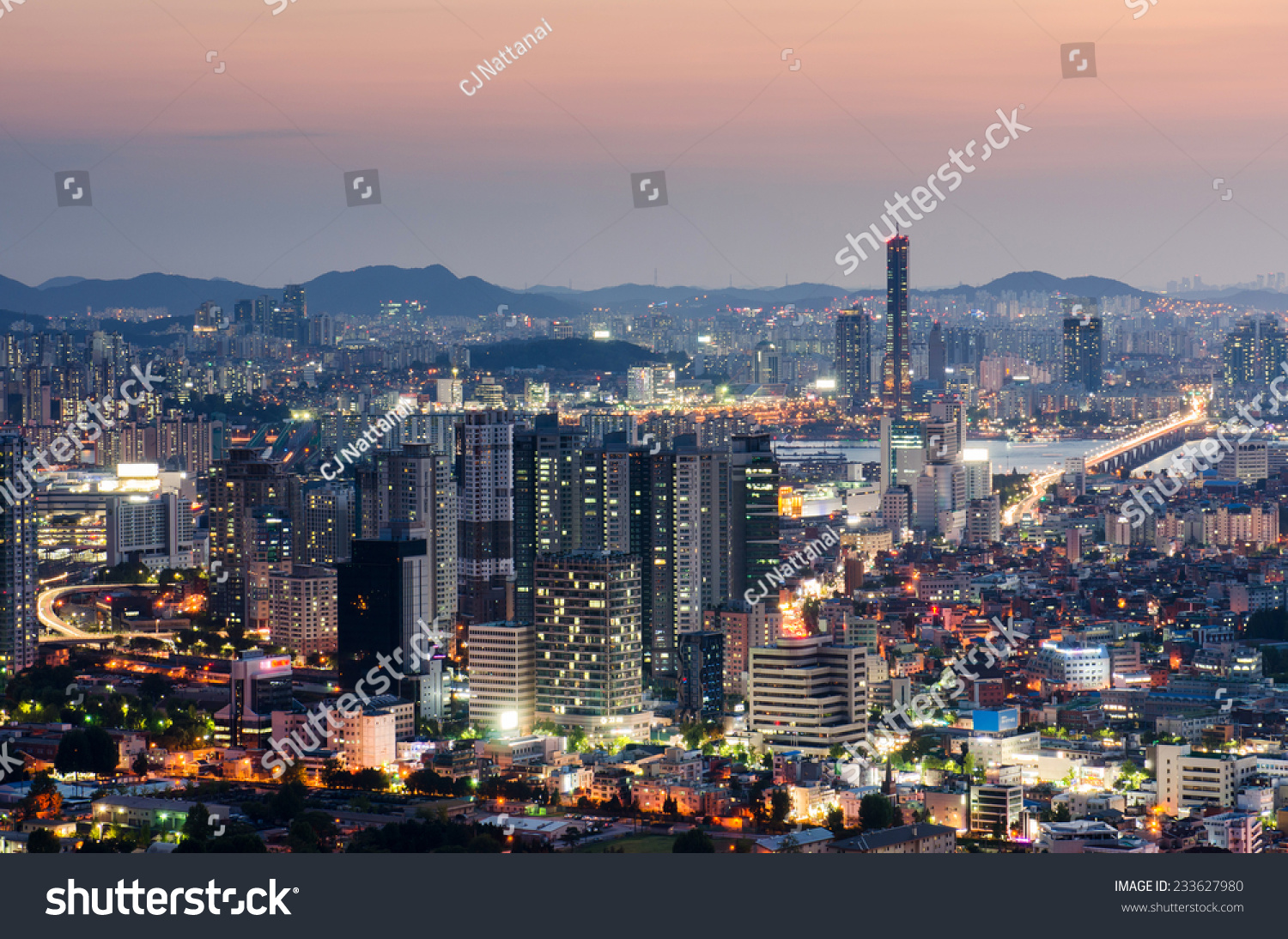 Seoul at night  South Korea city skyline