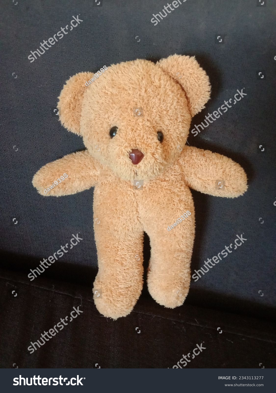 brownteddybearstandingondarkbrownsofabackground