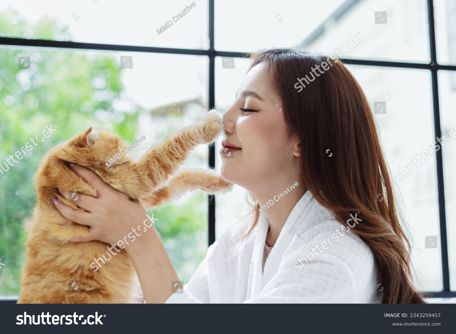 Happy Asian woman owner cute cat playful in a home. Friendship of pet and human people lifestyle.