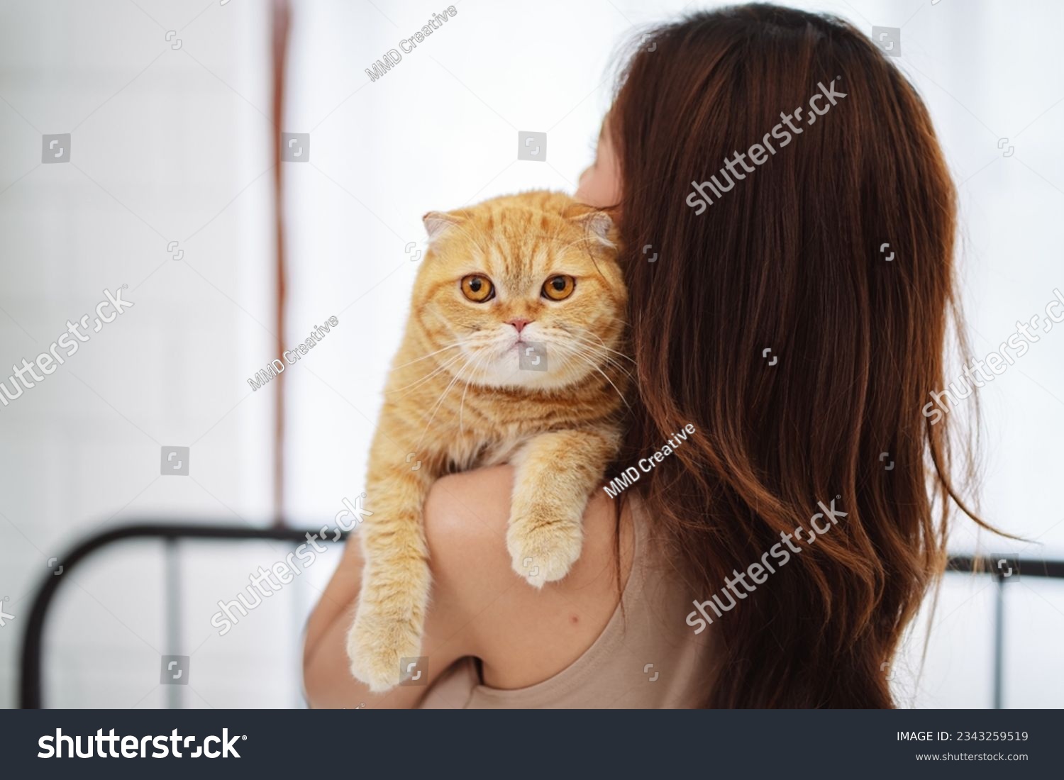 Happy Asian woman owner cute cat playful in a home. Friendship of pet and human people lifestyle.