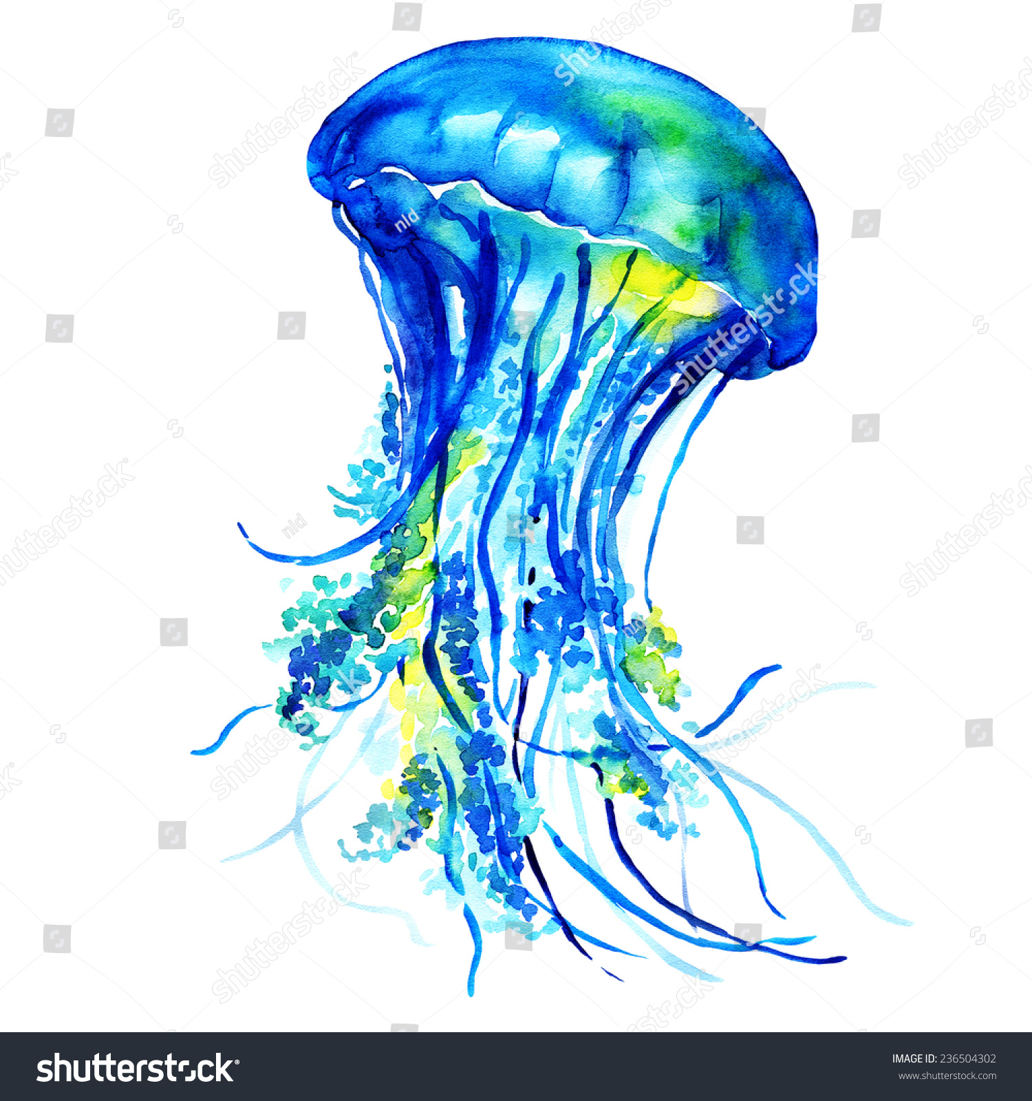 Ocean Water Jellyfish