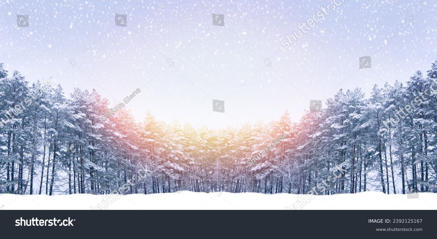 Landscapes. Frozen winter forest with snow covered trees. outdoor