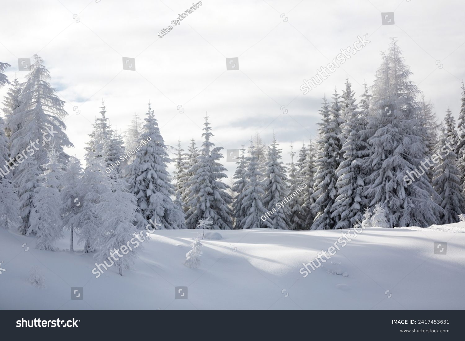 Winter in mountains. An amazing winter scenery with a lot of snow