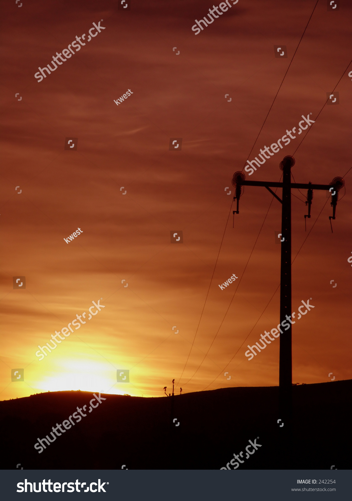 telegraph pole sunrise