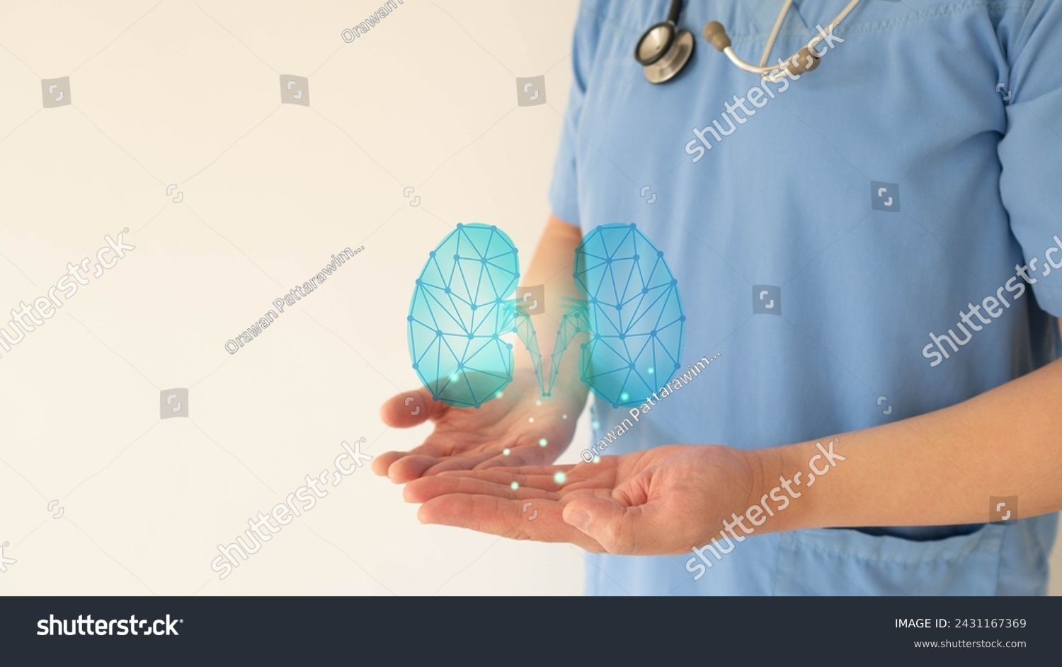 World kidney day. Nephrologist doctor check up kidney organ hologram. Medical technology for diagnose kidney disease. Renal transplant  organ donation concept. Nephrology.