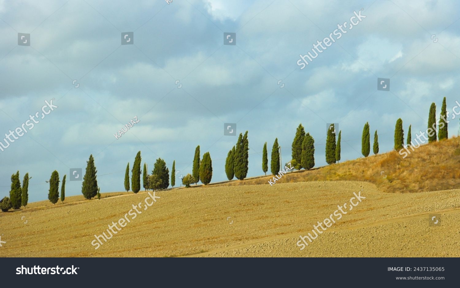part of Tuscan countryside with a row of cypress trees and a beautiful blue sky with clouds.