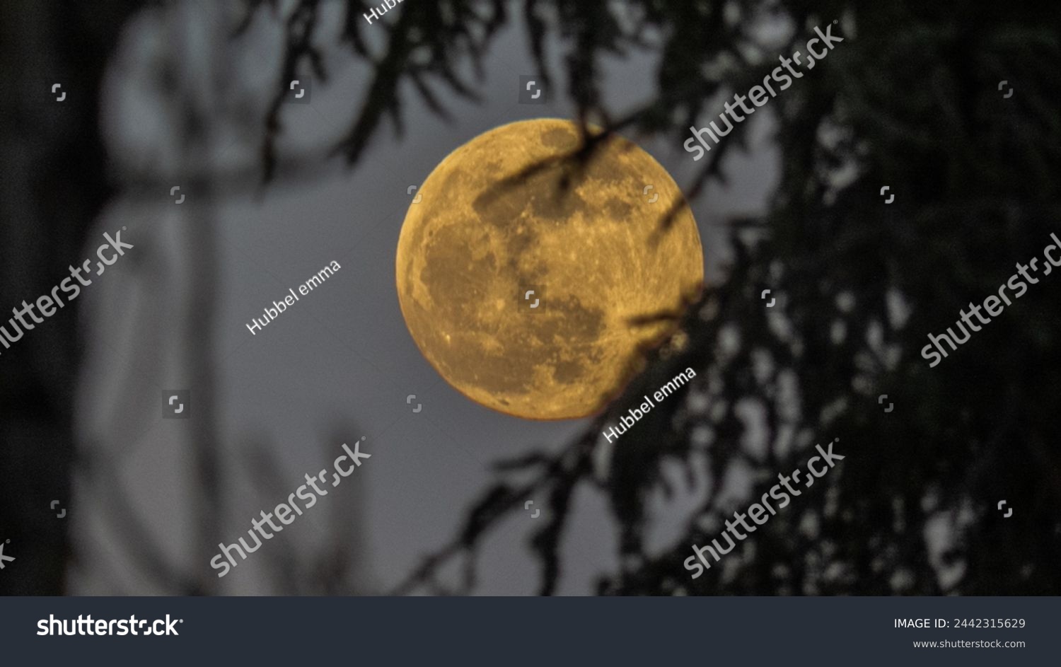 Moonlight shot capture in Lyon