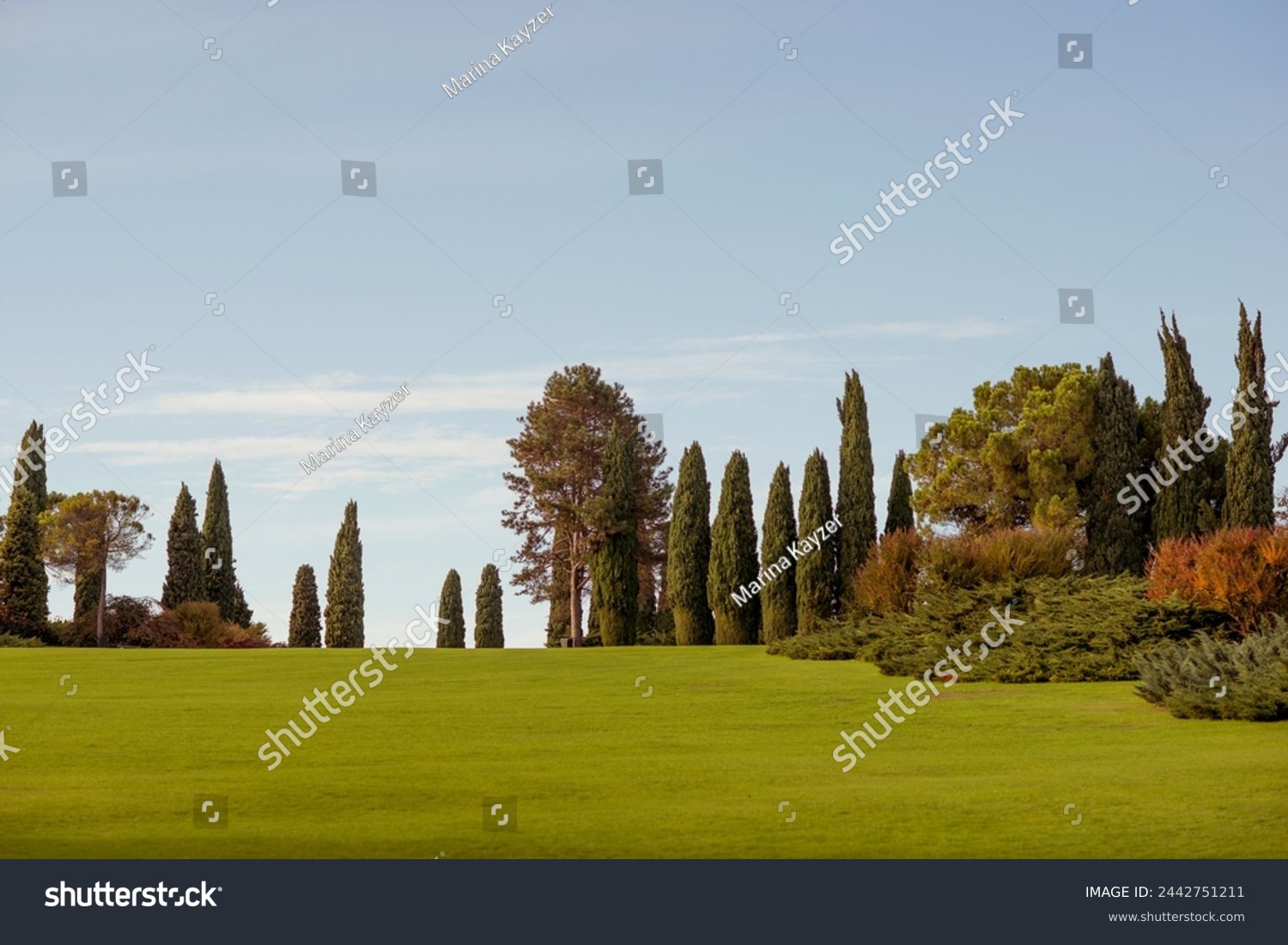 Beautiful landscape panorama in the Sigurta Landscape Park  near Lake Garda in Italy. A composition of trees with a perfect lawn.	