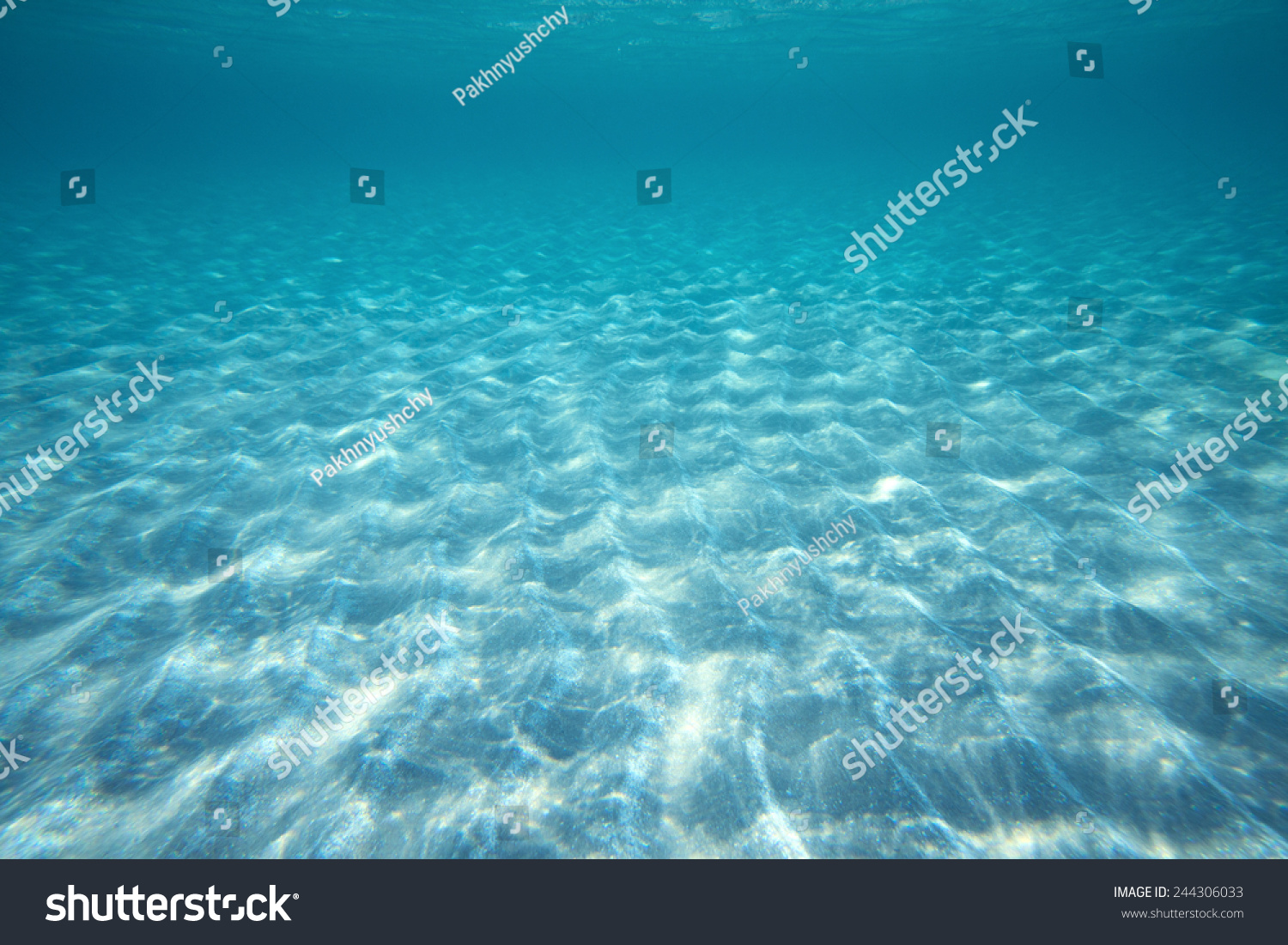 Tranquil underwater scene with copy space