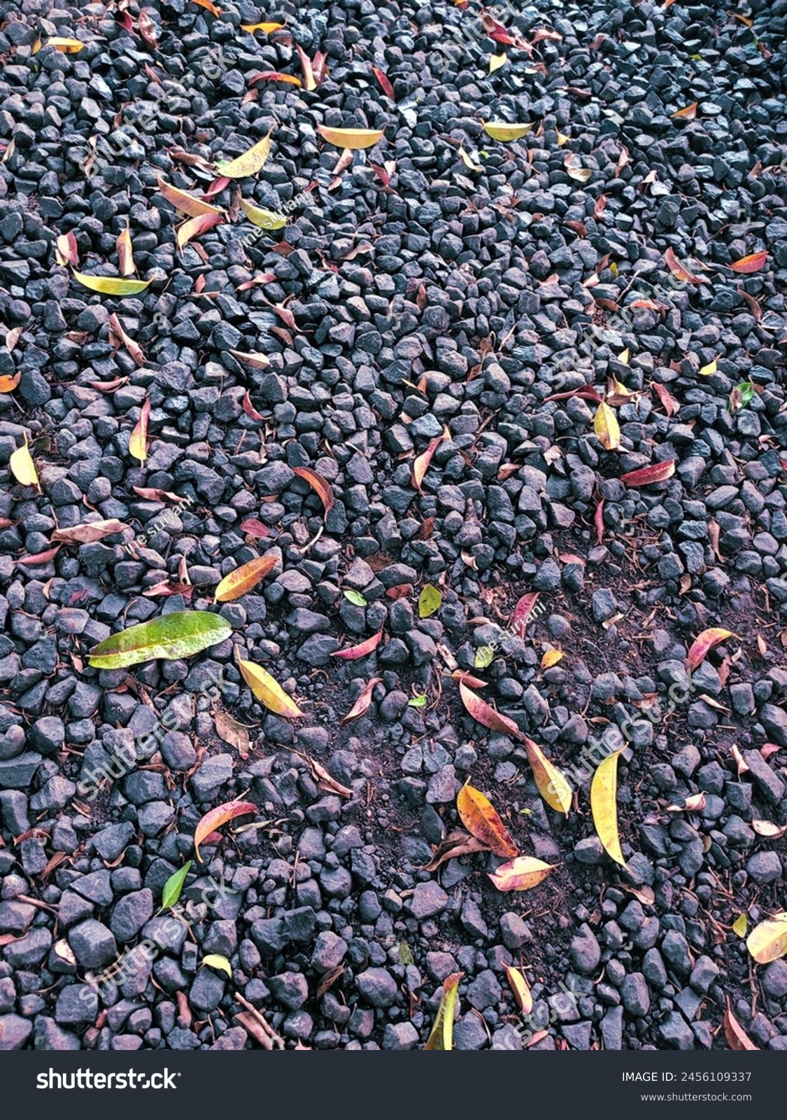 rain on rocks