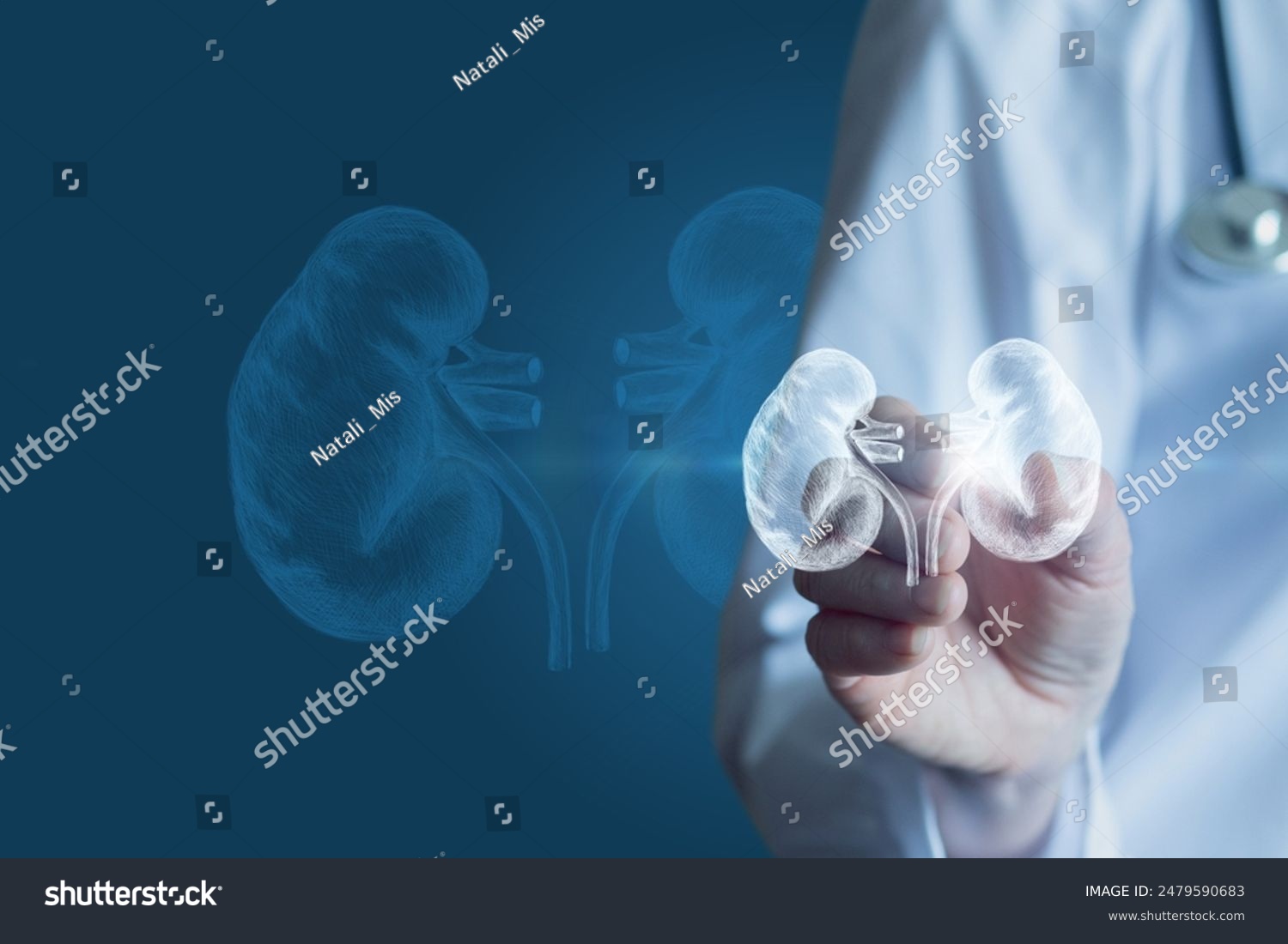 Doctor shows kidneys on virtual screen against blue background.