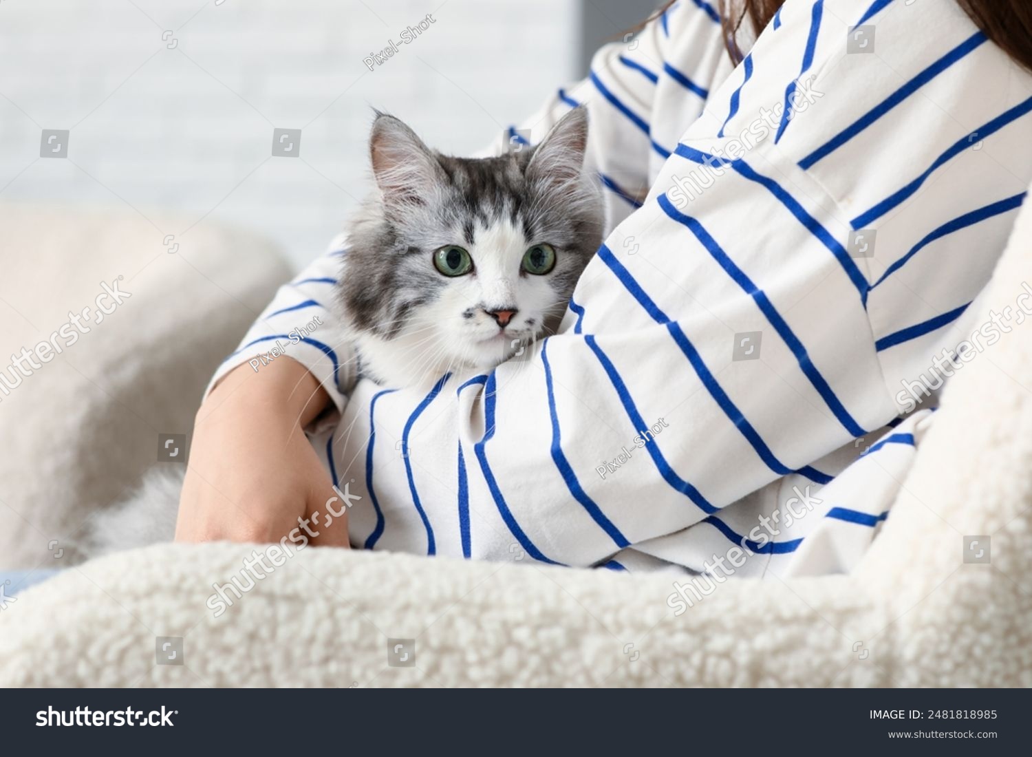 Young woman with adorable longhaired cat on sofa in living room