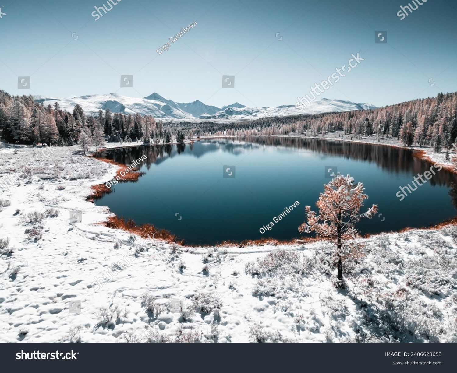 Kidelu lake in Altai mountains Siberia Russia. Snow-covered trees and mountains. Aerial drone view. Winter landscape.