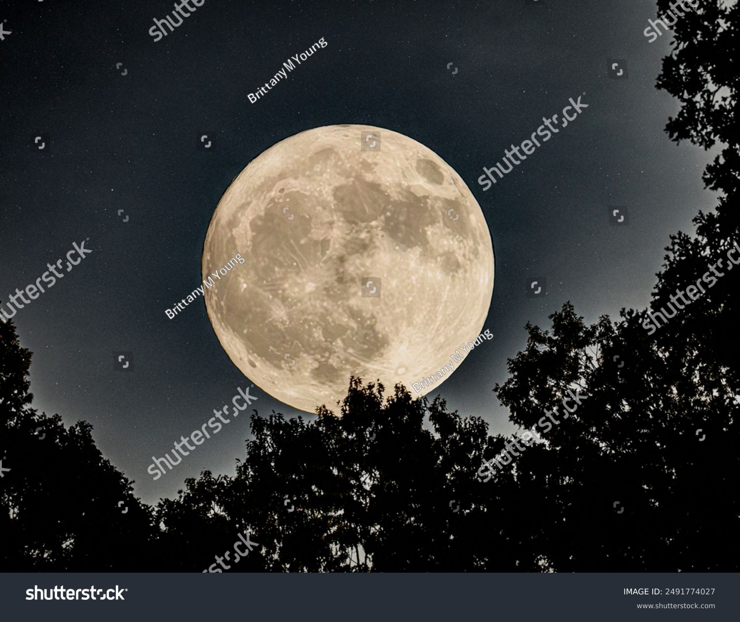 Waxing Gibbous illuminates the night sky.