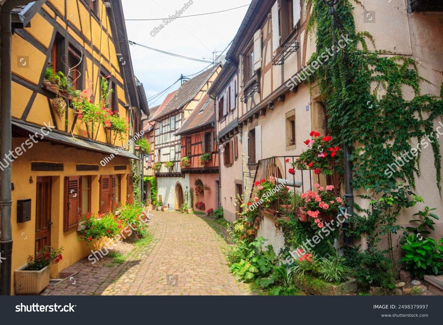 Street with picturesque colorful half-timbered houses in the medieval village of Eguisheim  Alsace  France. Village is ranked in the top 20 of Les Plus Beaux Villages de France. Alsace wine route