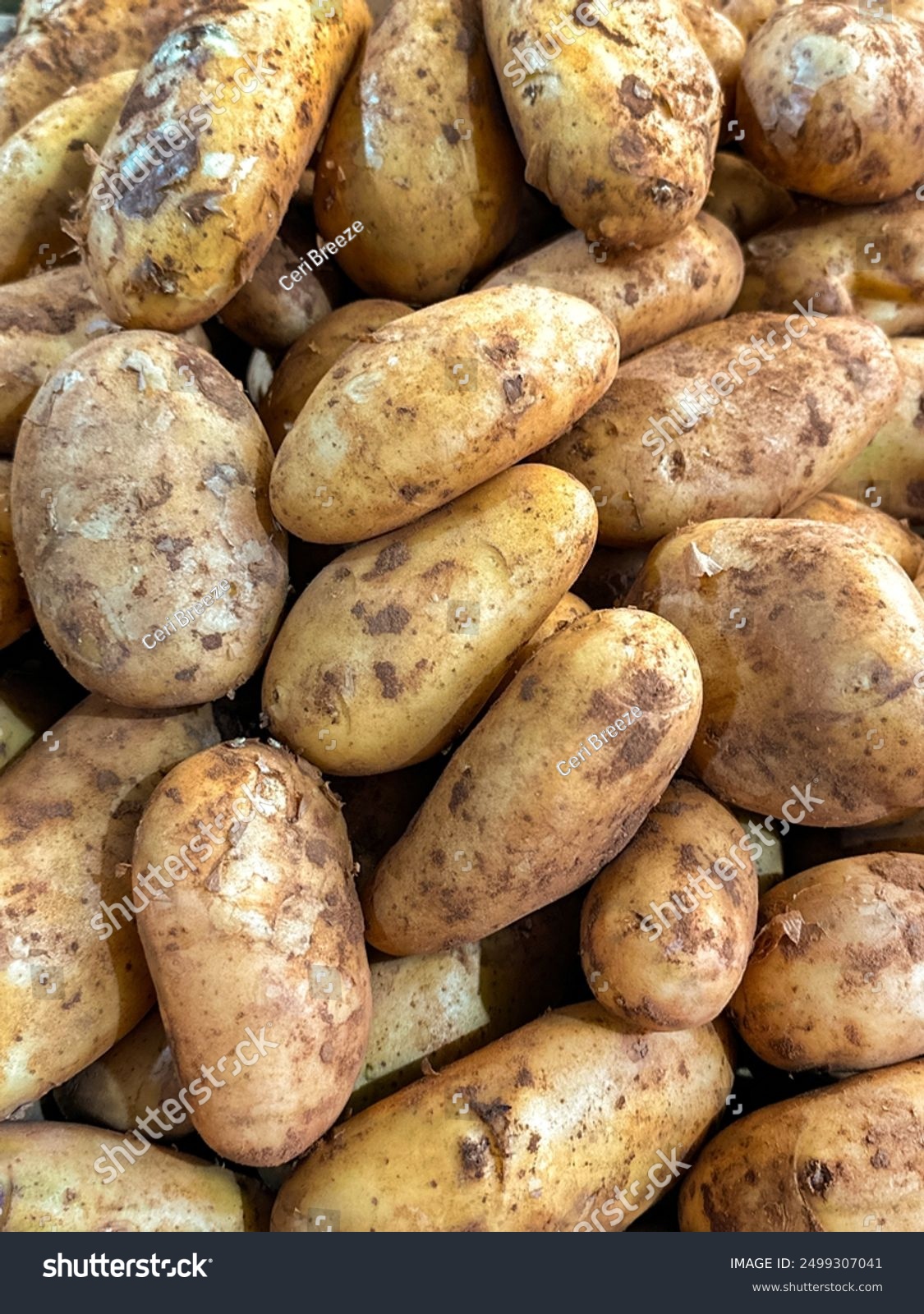 white potatoes