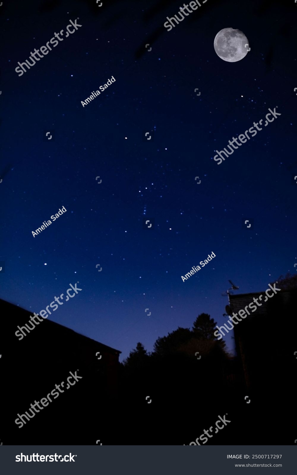 Long exposure astrological night sky with a blue hue. 