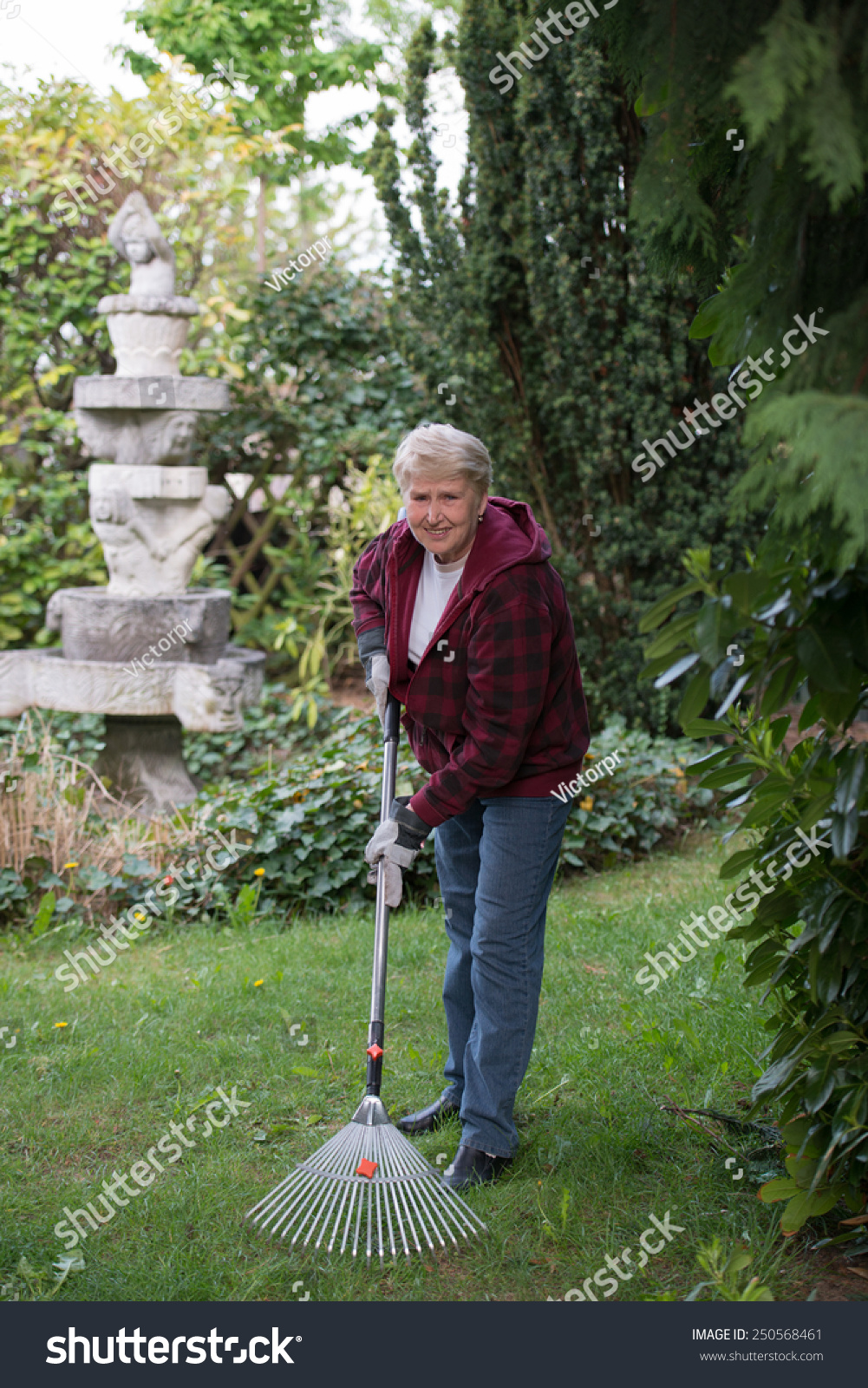 senior woman gardening using leaf rake_站酷海洛_正版图片_视频_字体_音乐素材交易平台_站酷旗下品牌