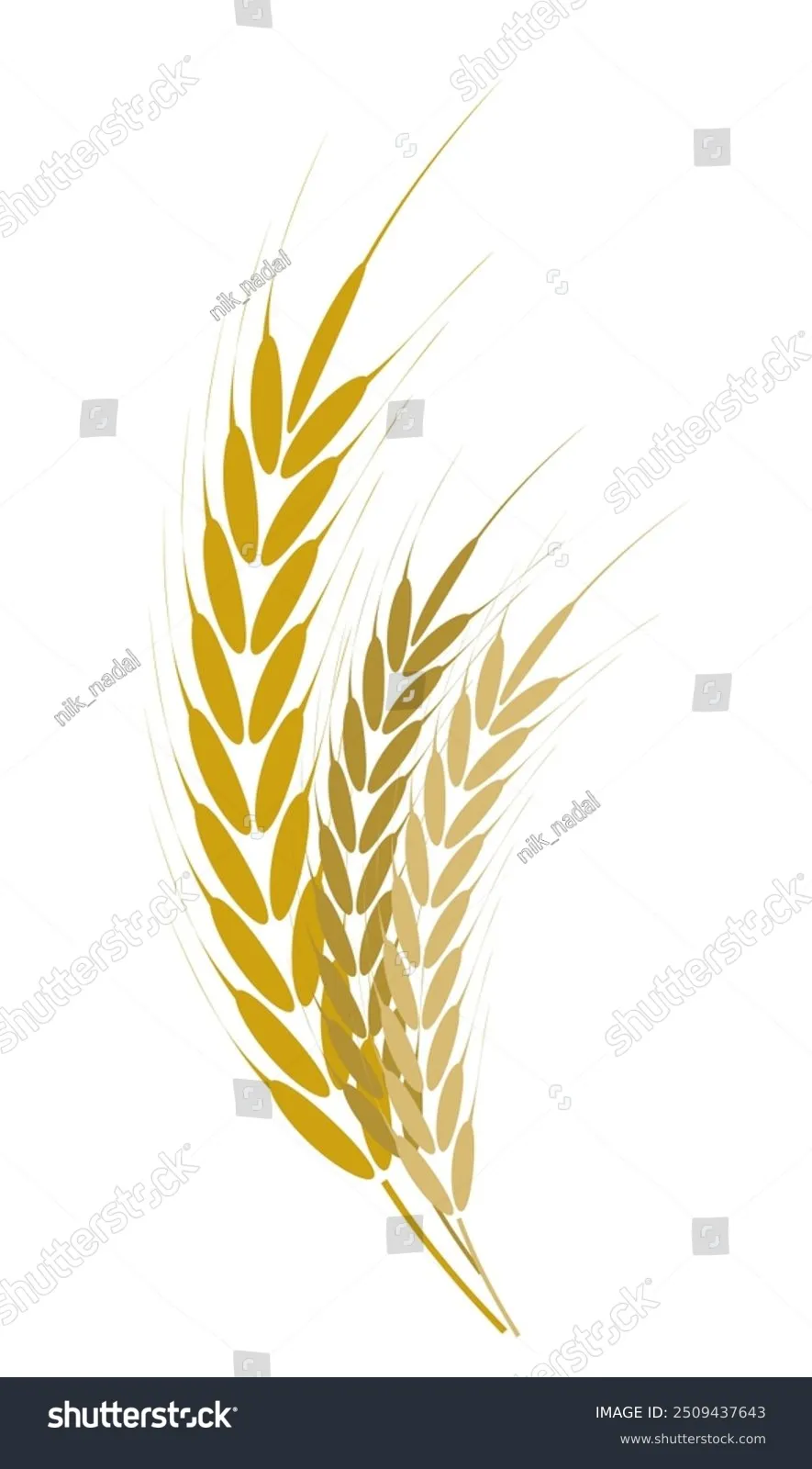 Farm wheat ears icon set vector illustration Wheat Ears Icons and Logo ...