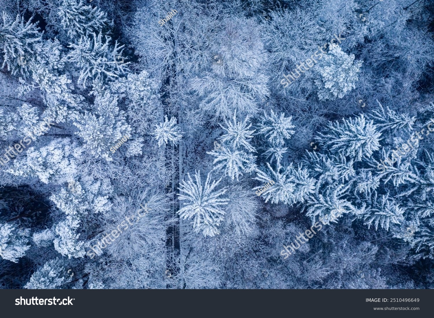 Snowy road through forest in winter. Travel in winter. Aerial view of nature in Poland