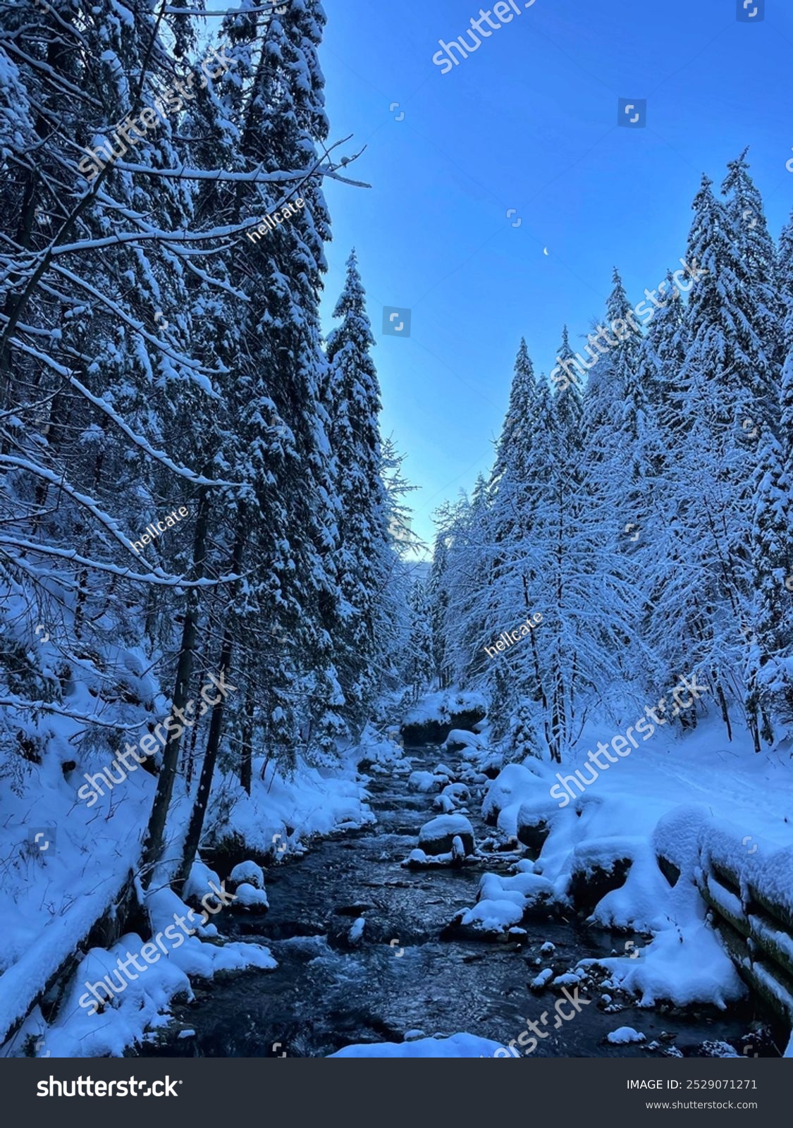 Stream in frosty and snowy Tatra mountains