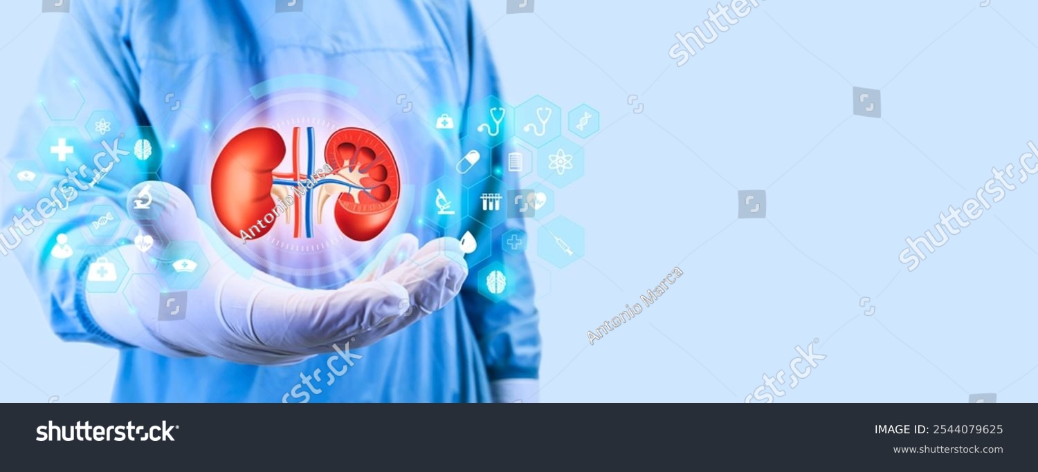 The doctor analyzes the kidneys Doctor isolated on a light blue background. Concept of kidney failure.