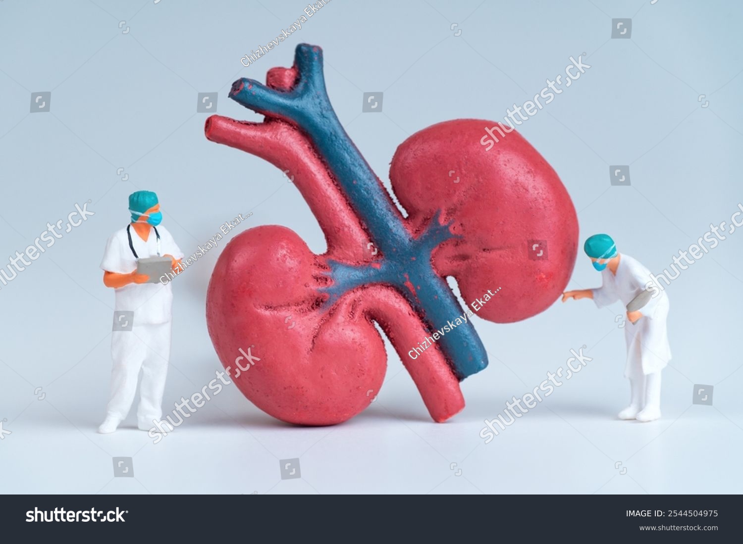 Miniature surgeons examining a large kidney model. Urology and nephrology concept.