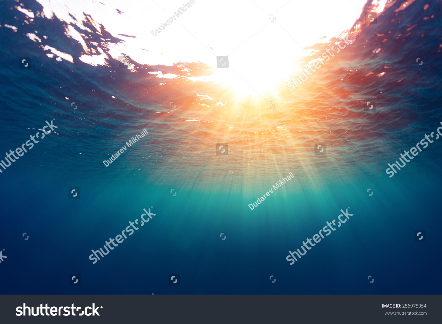 Underwater view of the sea surface