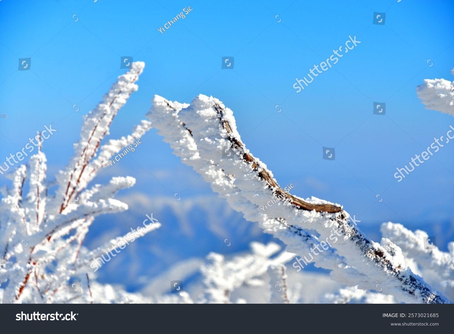 Fantastic Snow Landscape Deogyusan Mountains