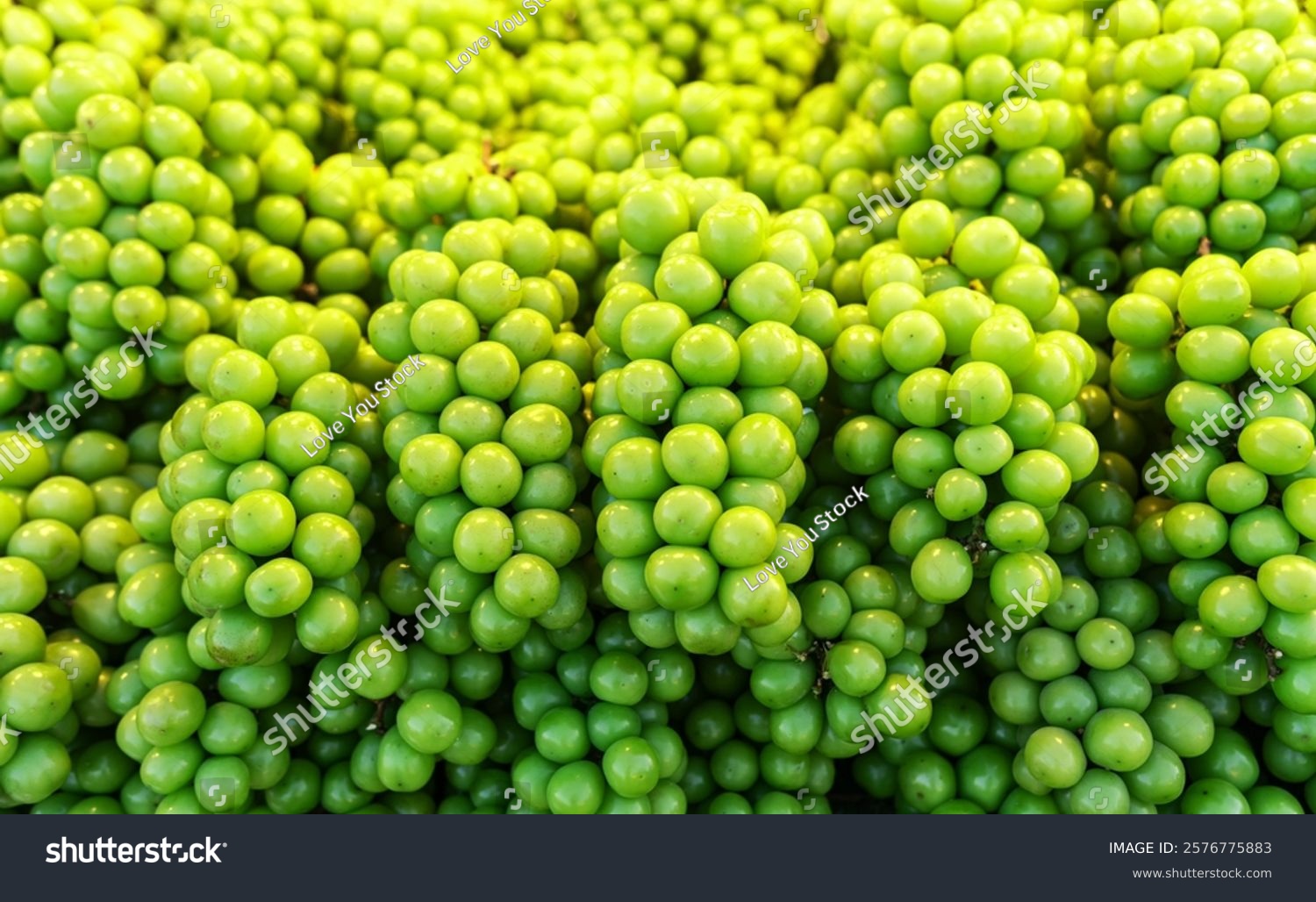 Fresh Shine Muscat Grapes Directly from the Farm in street food.