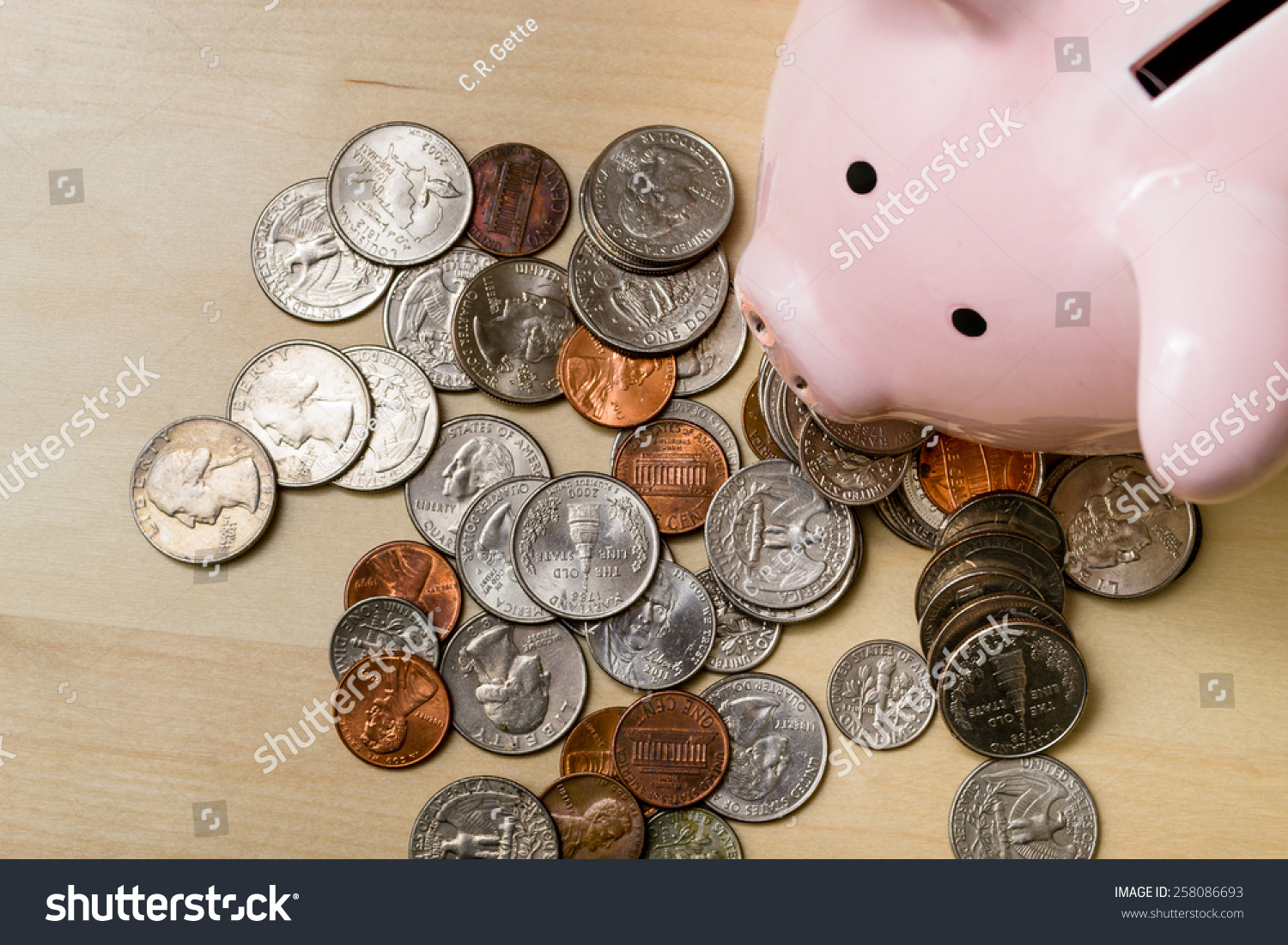 pig币，pig币被谁国家收购了