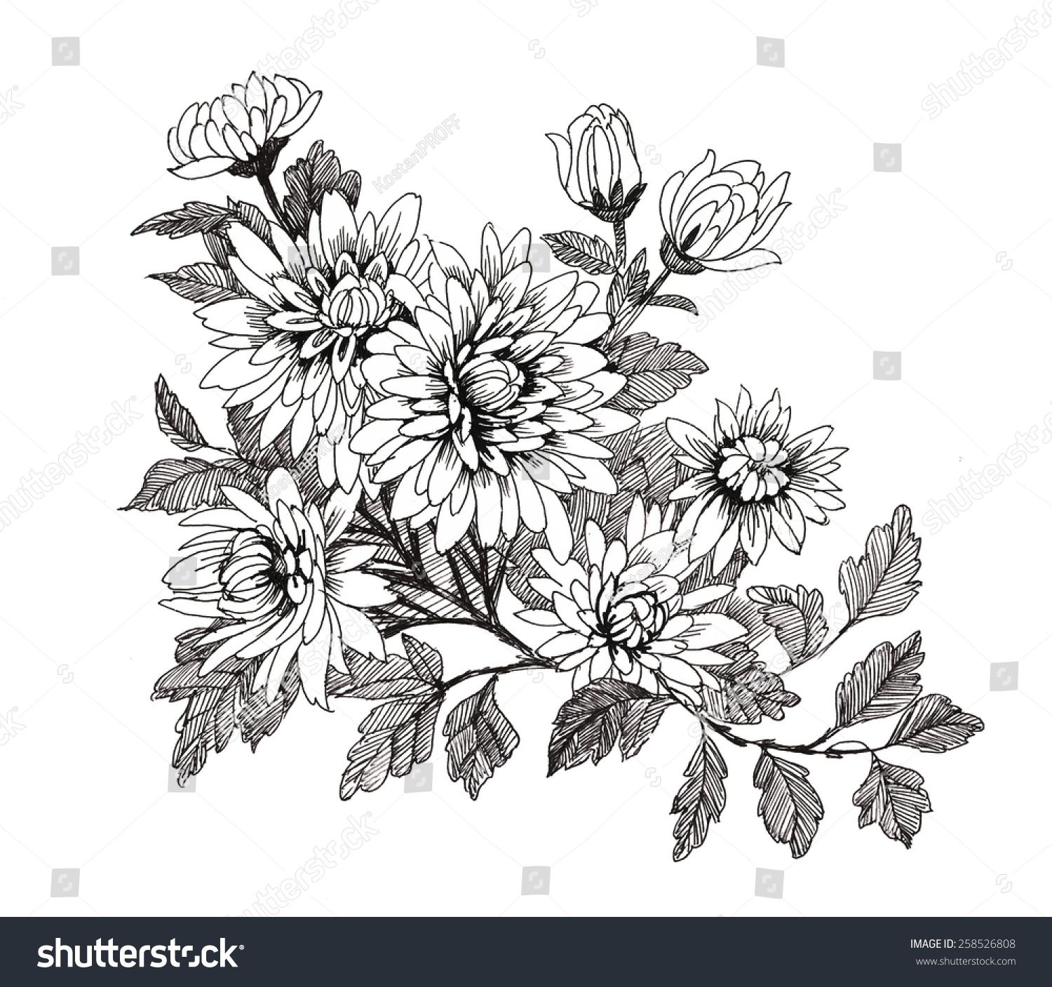 Hand drawn garden flowers isolated on white background vector illustration