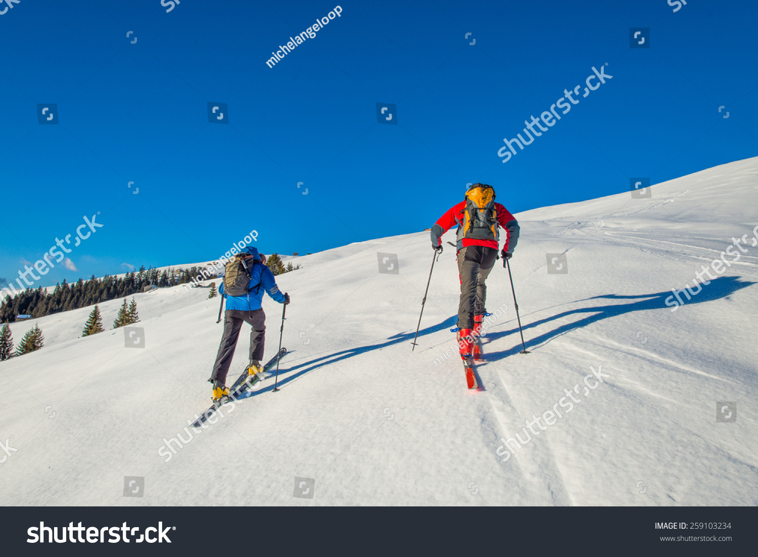 Randonnee ski trails
