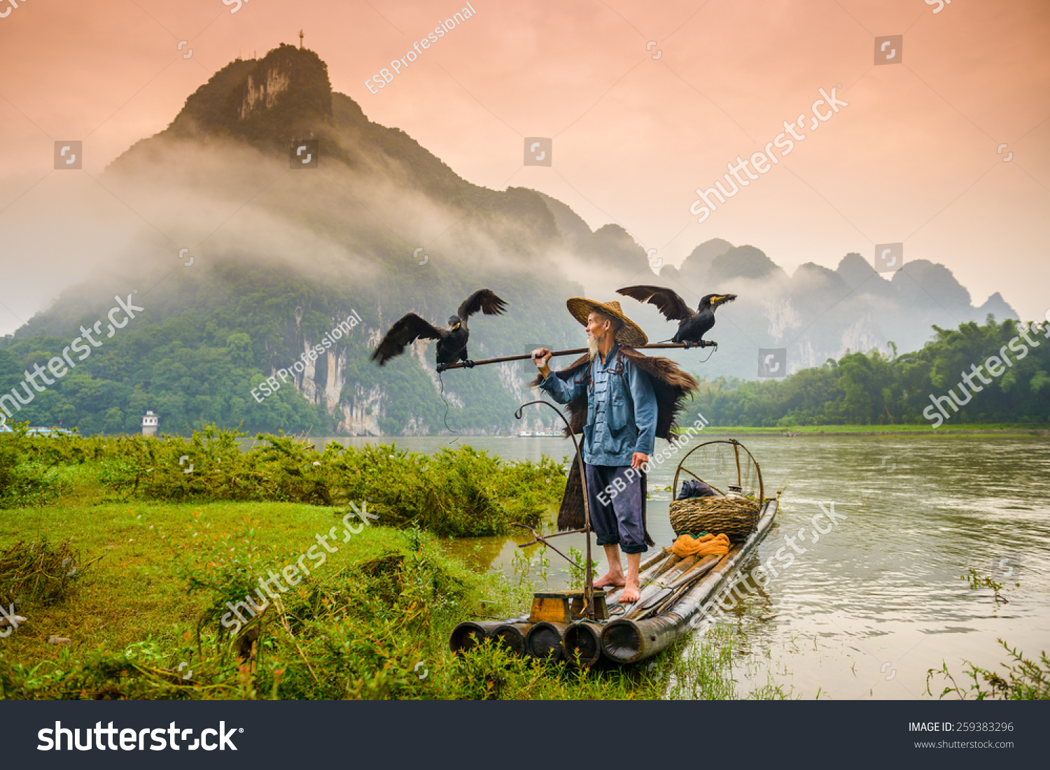 A traditional cormorant fisherman works on the Li River Yangshuo  China.