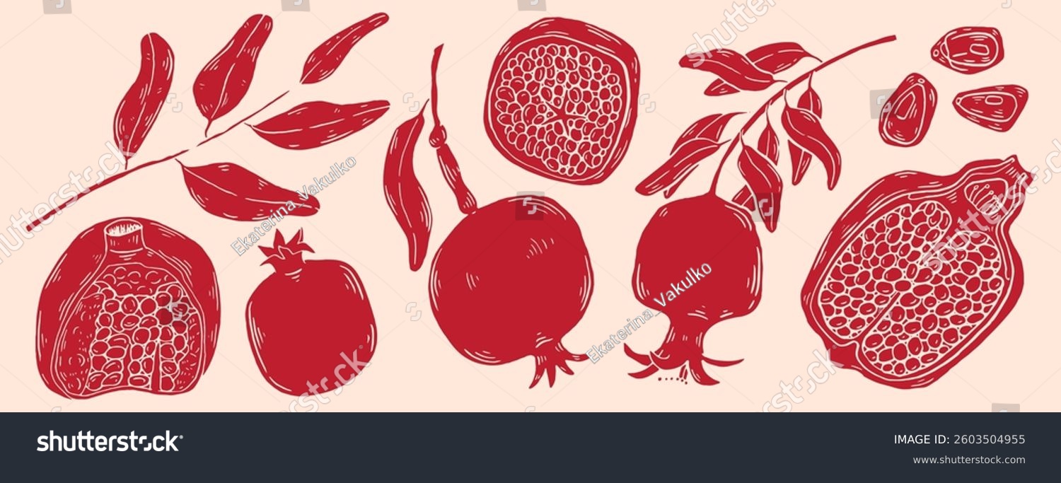 Garnet fruit vector sketch illustration. Linocut style hand drawn food for menu and decoration clip art. Sketch Pomegranate fruits and leaves on a branch  isolated engraved sign.