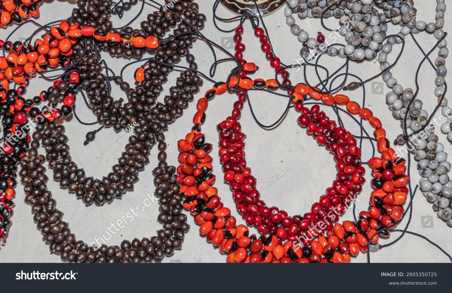 Botanical jewelry such as necklaces and bracelets made by Quechua women from the Ecuadorian Amazon region  Pastaza province  from the seeds of various plants such as Jequirity Gunja and others