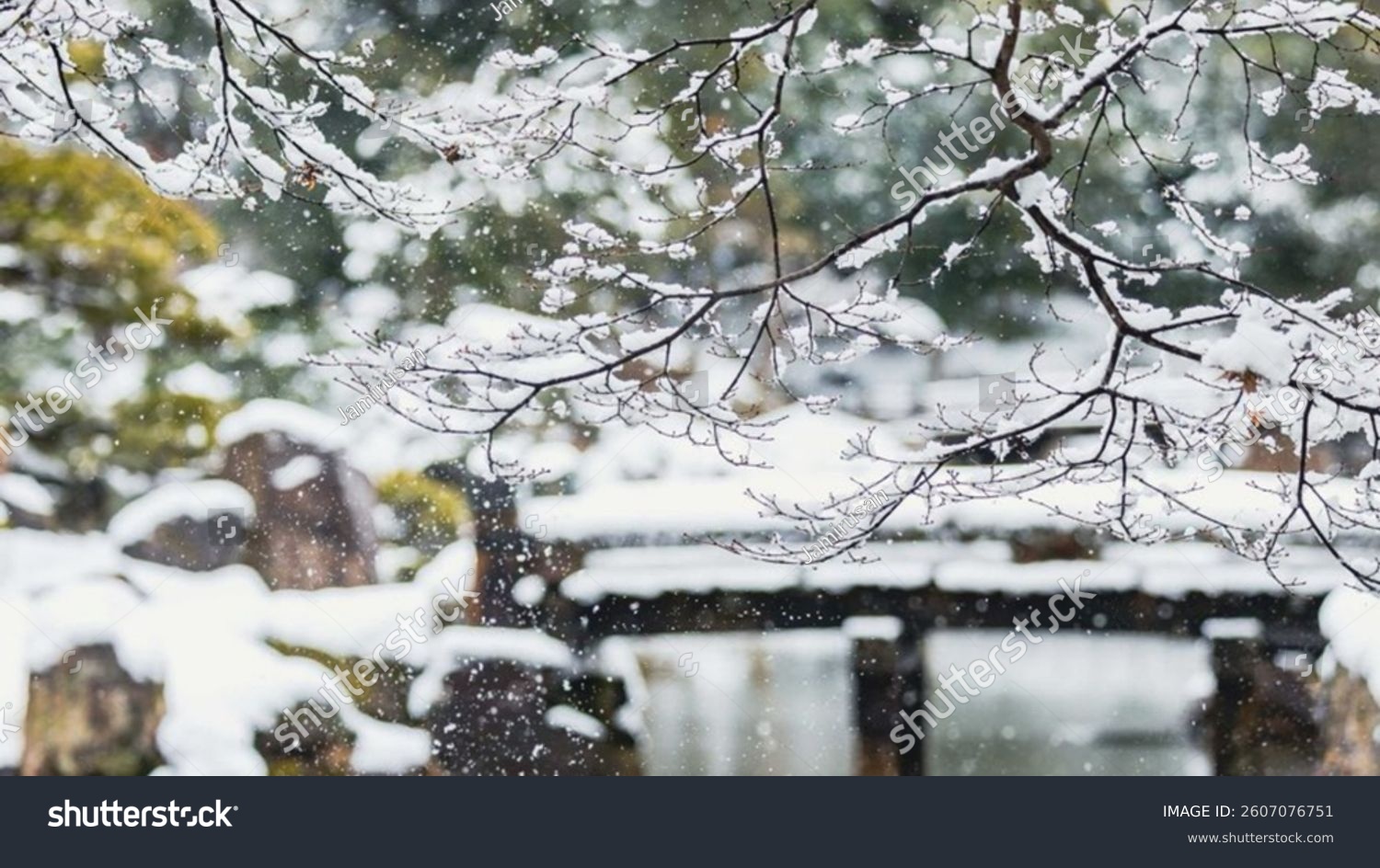 A tranquil winter landscape featuring delicate snow-covered tree branches in the foreground. Snowflakes gently fall creating a dreamy and peaceful atmosphere.