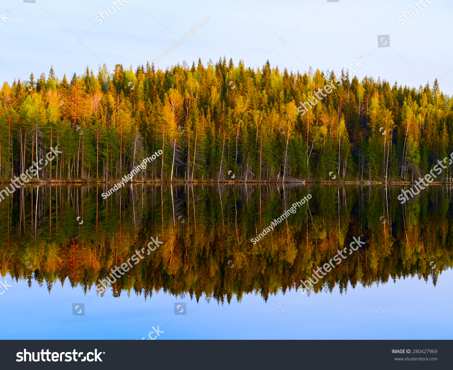 Forest reflection in blue lake  Karelia