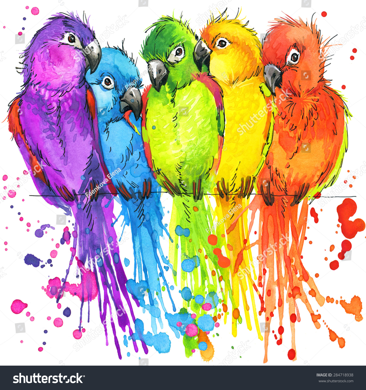Funny parrots T-shirt graphics  colorful parrots illustration with splash watercolor textured background. illustration watercolor colorful parrots for fashion print  poster textiles  fashion design