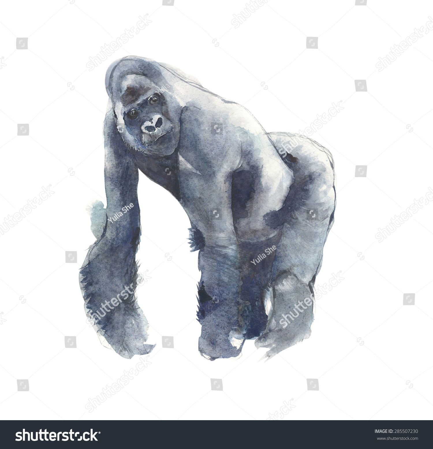 Gorilla ape watercolor painting illustration isolated on white background