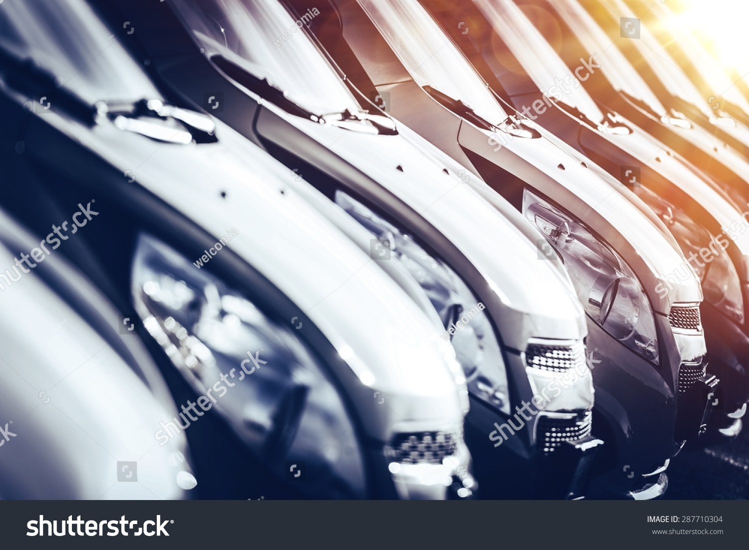 Cars in Stock Closeup. Row of Brand New Cars For Sale. New Cars Industry.