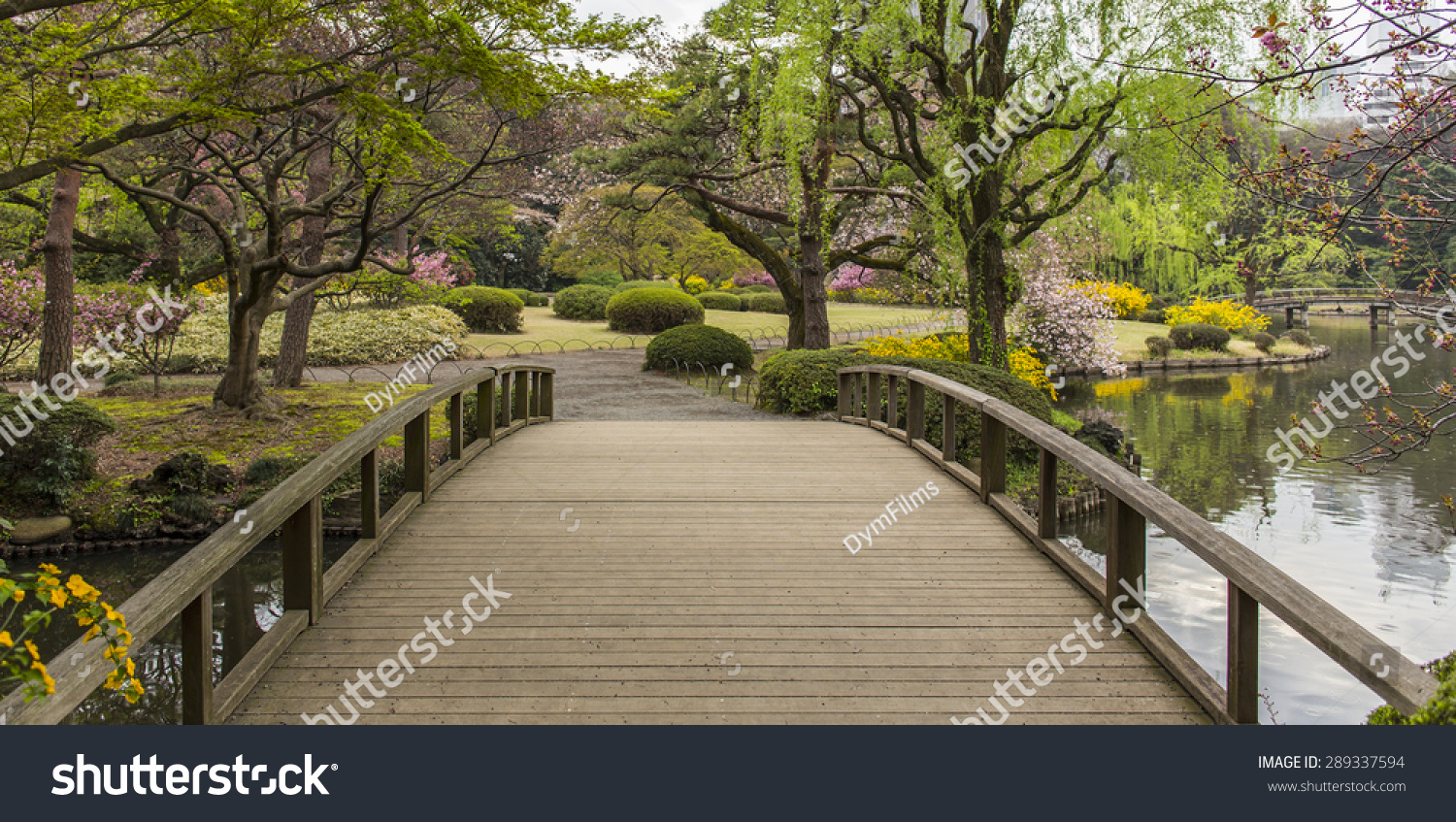 Shinjuku Gyoen  Tokyo  Japan