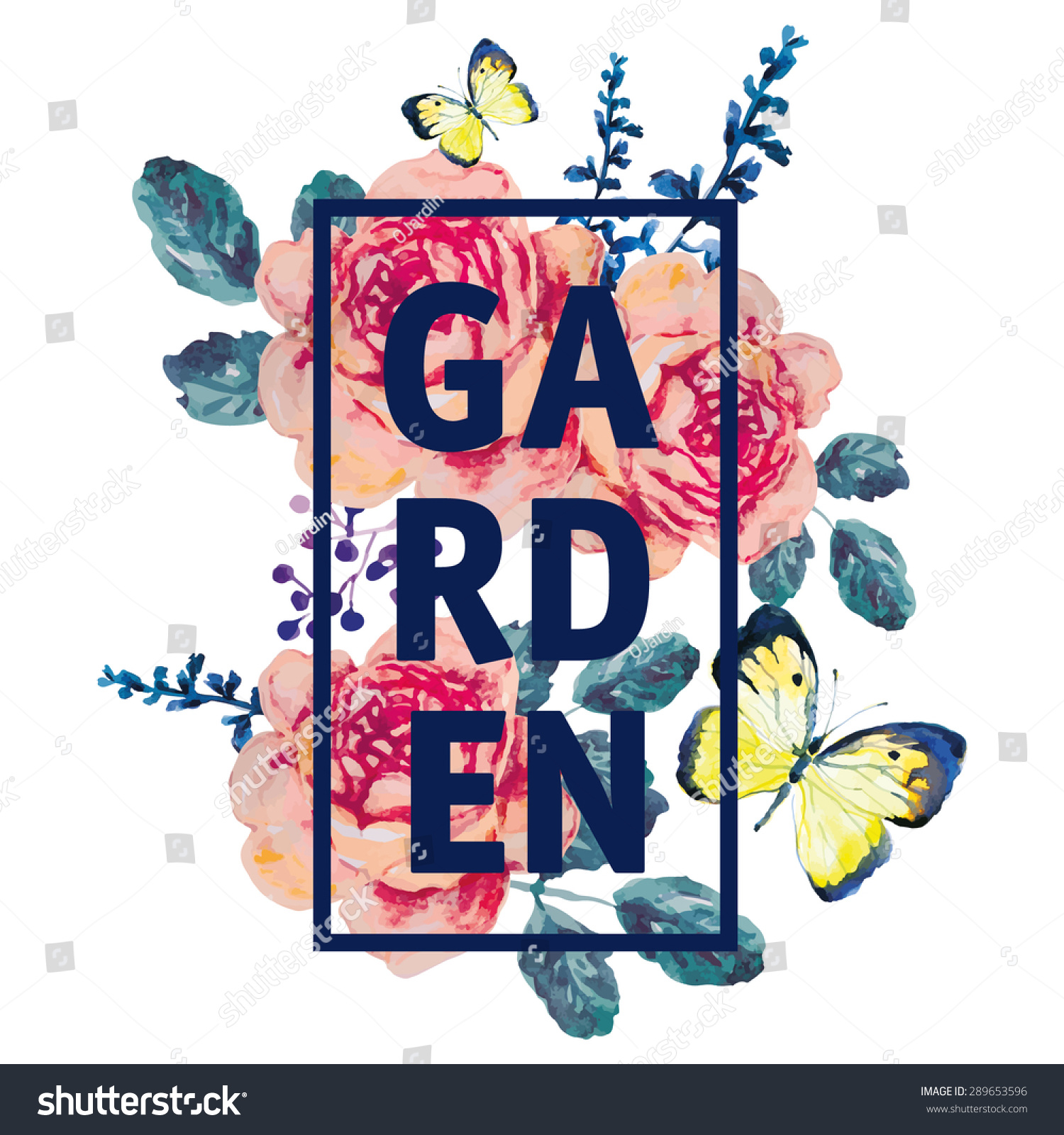 Country bouquet of pink roses and floral elements on the white background. Watercolor with summer garden flowers. Roses and butterflies. Design frame for t-shirt.